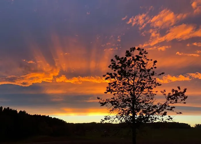 別荘 Haunsbergblick *